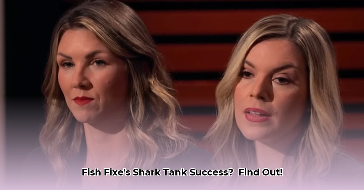 fish-fixe-net-worth